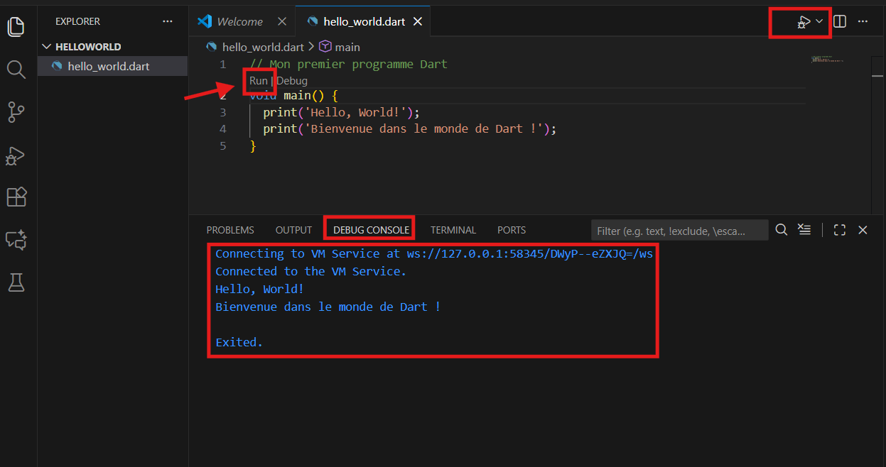Exécution du programme Dart dans le terminal